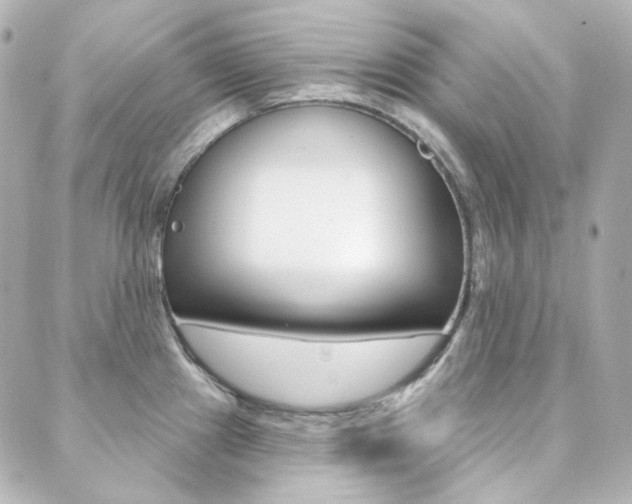X0000089911241200706290721