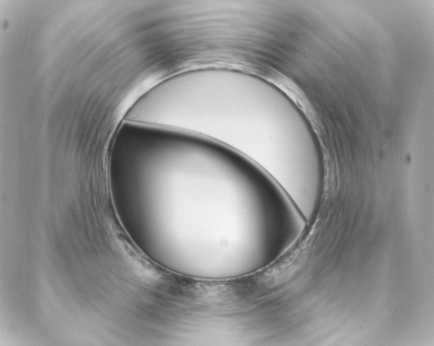 X0000089911242200706290721