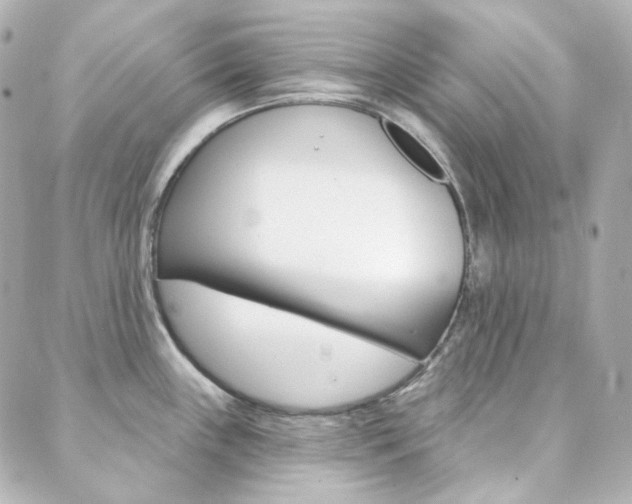 X0000089911243200706290721