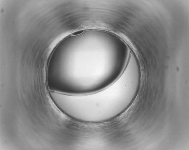 X0000089911246200706290721