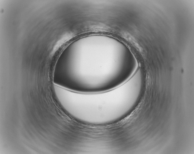 X0000089911261200706290720