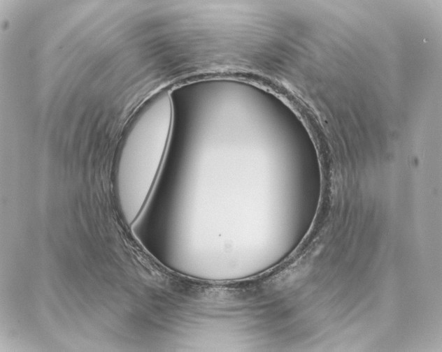X0000089911265200706290720