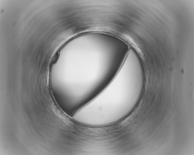 X0000089911276200706290720