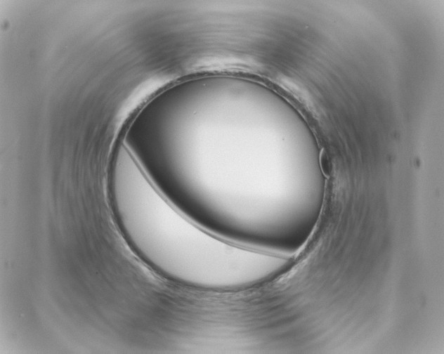 X0000089911277200706290720