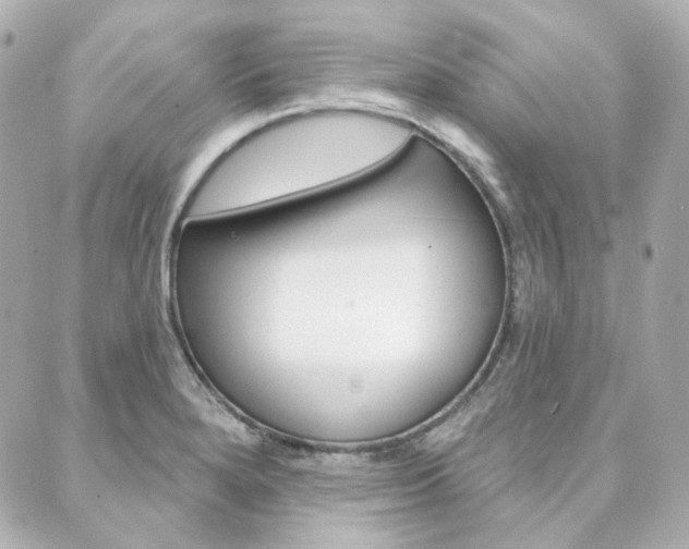 X0000089911280200706290720