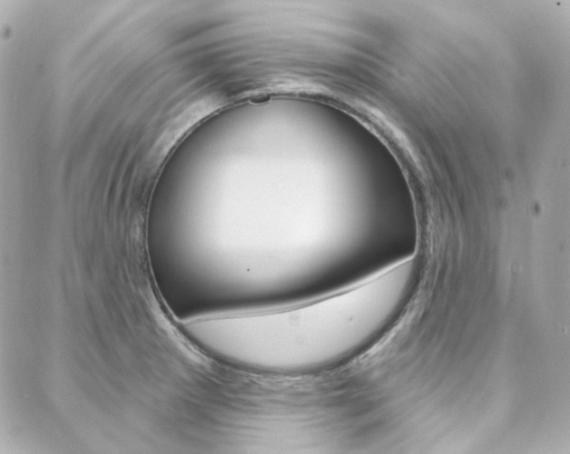 X0000089911281200706290720