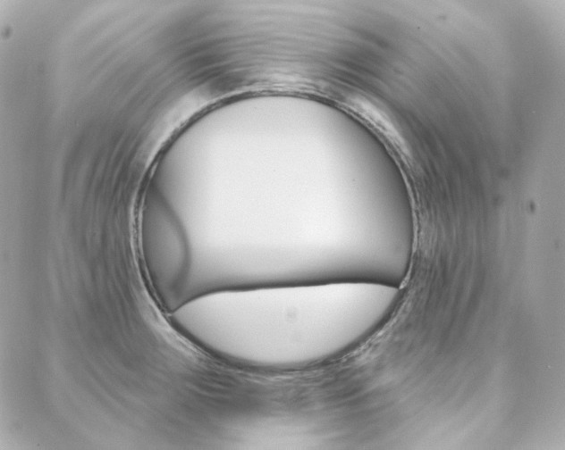 X0000089911283200706290720