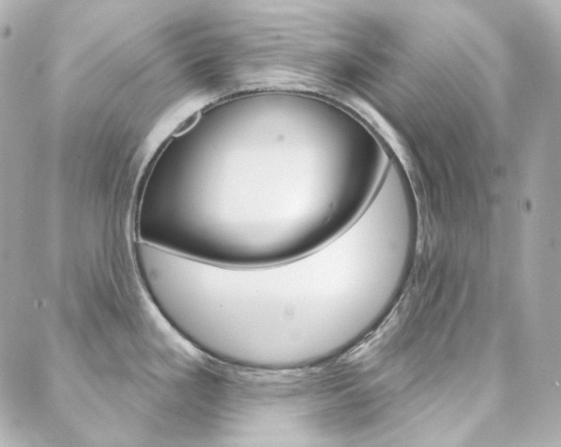 X0000089911293200706290720
