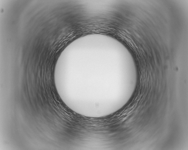 X0000089911298200706290719