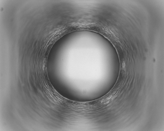 X0000089911300200706290719
