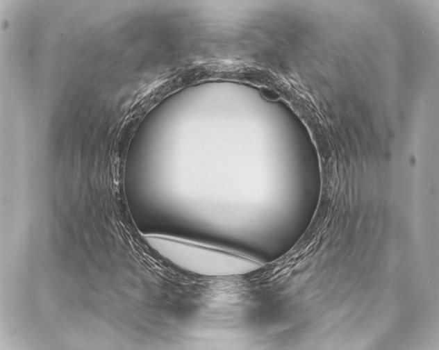 X0000089911301200706290719
