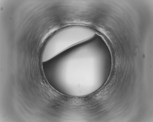 X0000089911307200706290719
