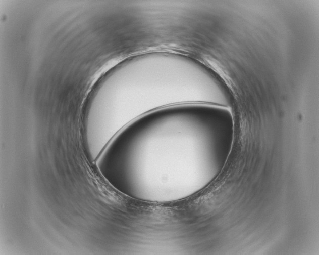 X0000089911308200706290719