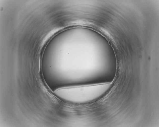 X0000089911323200706290719