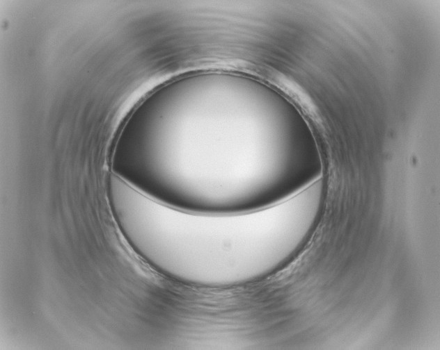 X0000089911332200706290720