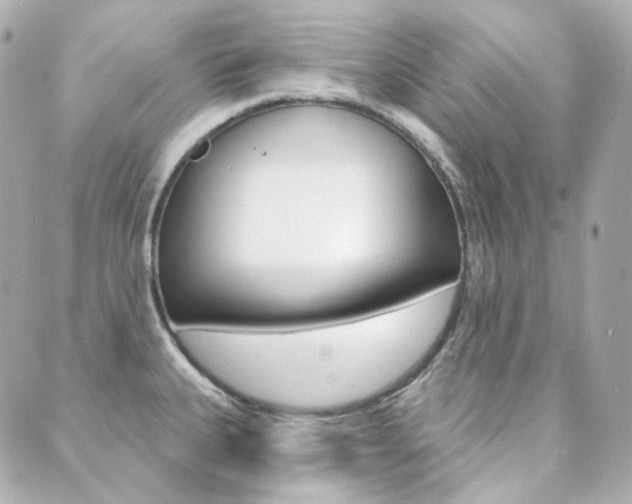 X0000089911335200706290720