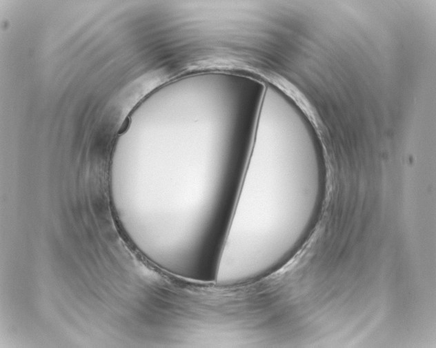 X0000089911337200706290720