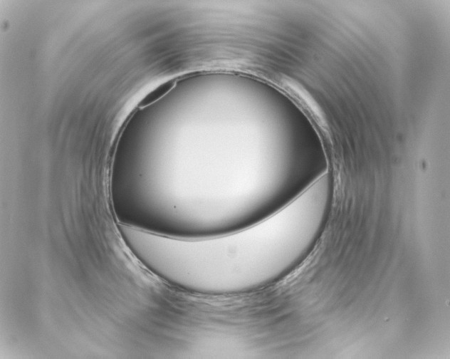 X0000089911340200706290720