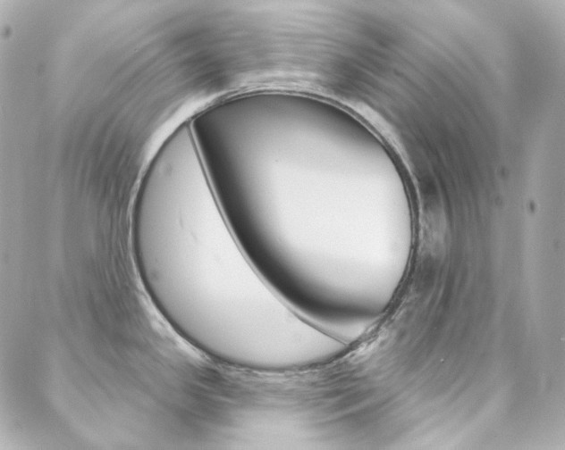 X0000089911341200706290720