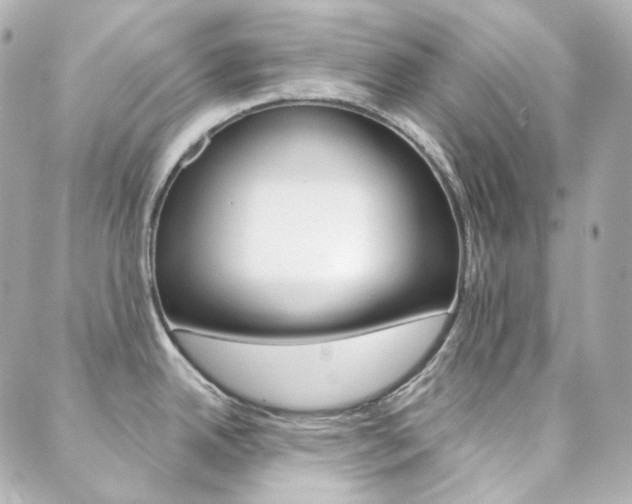 X0000089911342200706290720