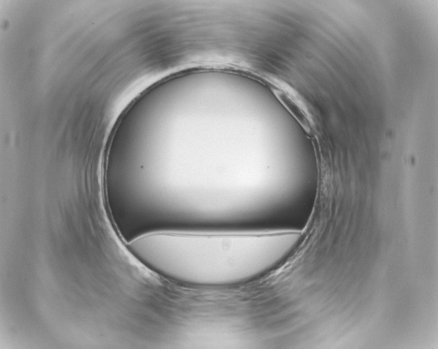 X0000089911343200706290720