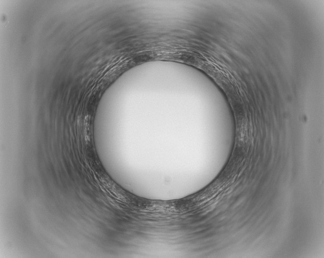 X0000089911346200706290719