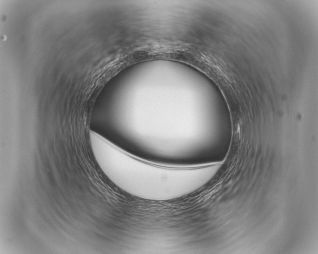 X0000089911348200706290719