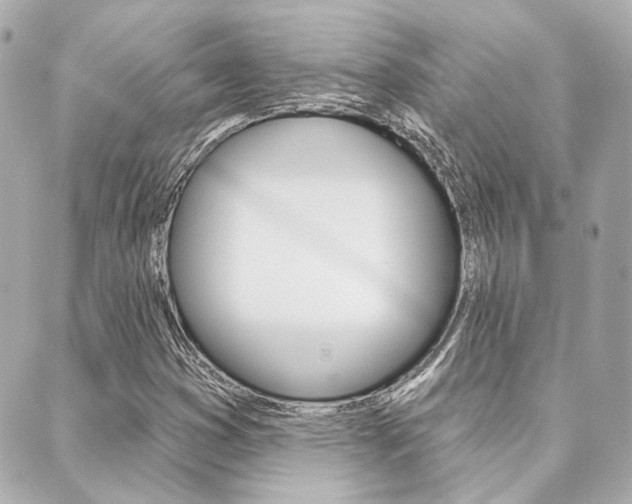 X0000089911353200706290719