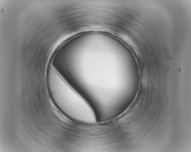 X0000089911372200706290719