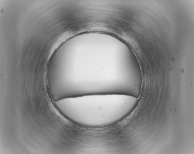 X0000089911374200706290719