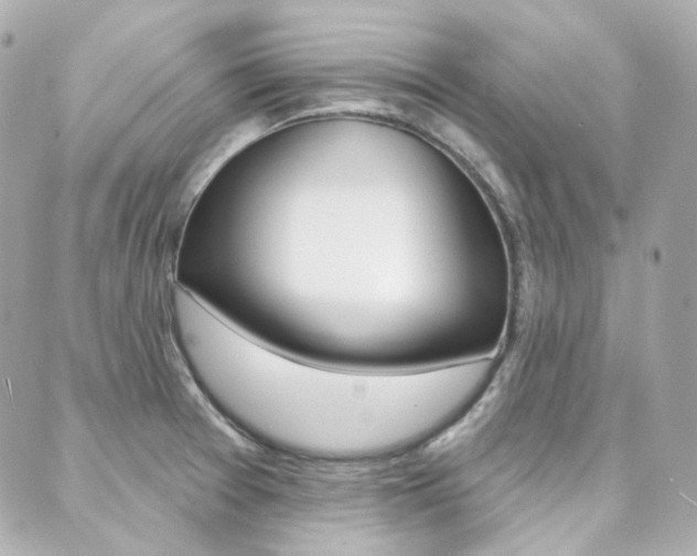 X0000089911377200706290719