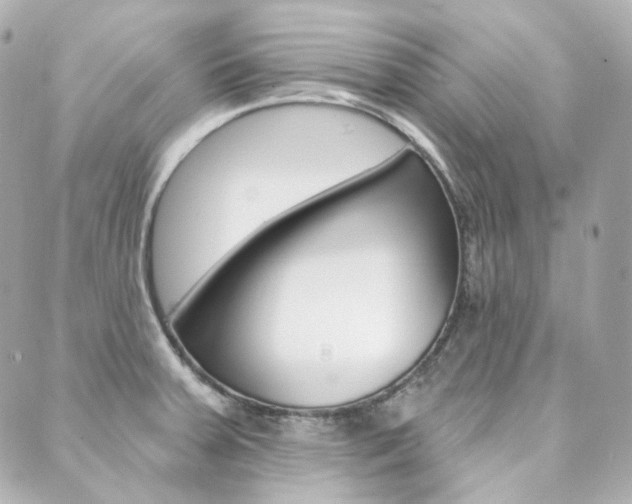 X0000089911379200706290718