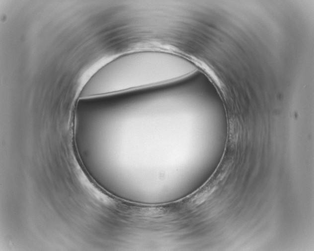 X0000089911387200706290718