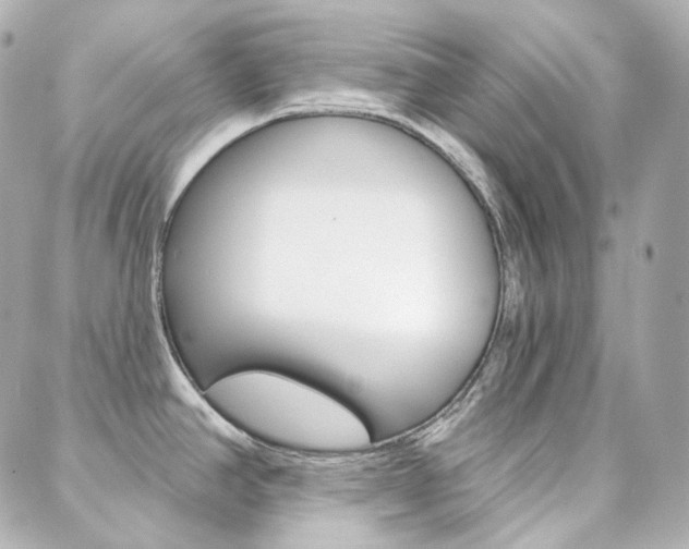 X0000089911390200706290718