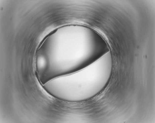 X0000089911391200706290718