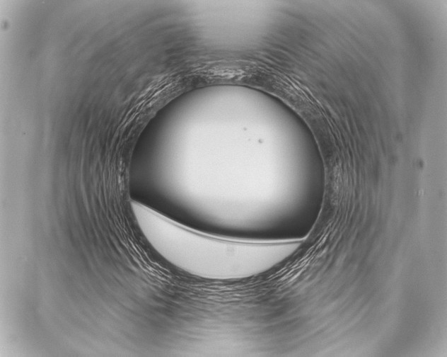 X0000089911394200706290718