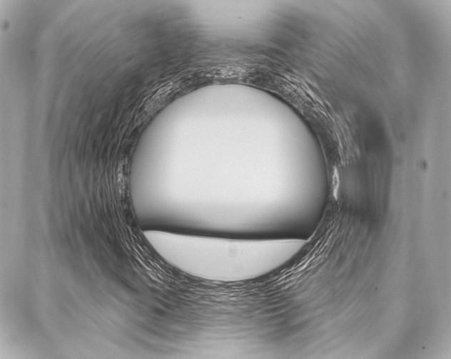 X0000089911395200706290718