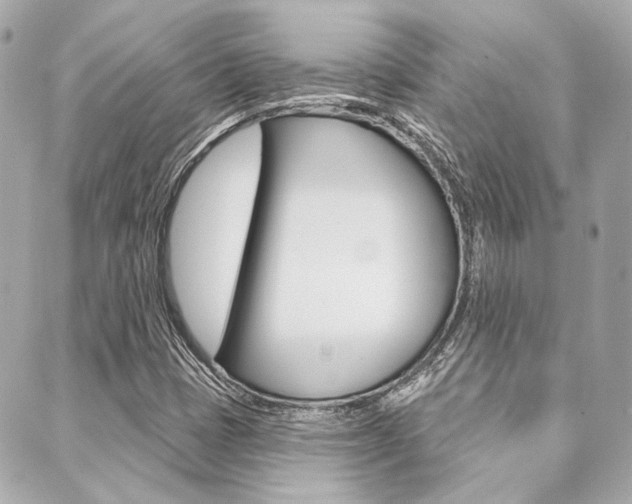 X0000089911401200706290718