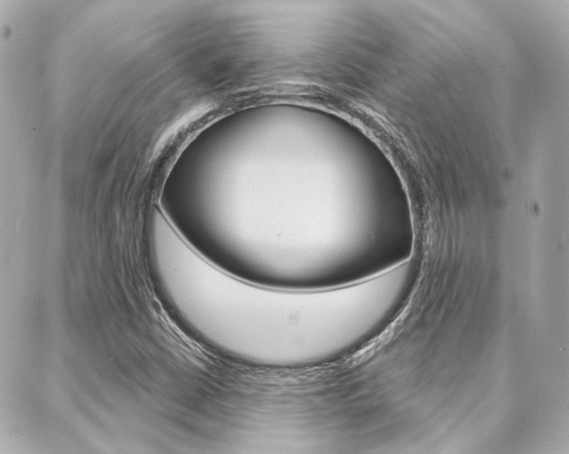 X0000089911402200706290718