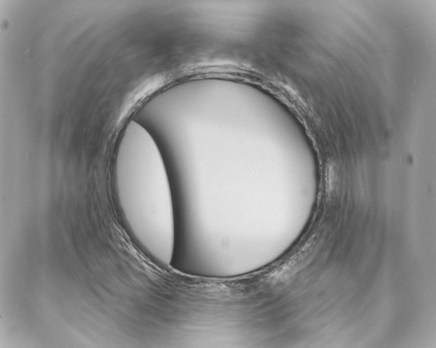 X0000089911405200706290718