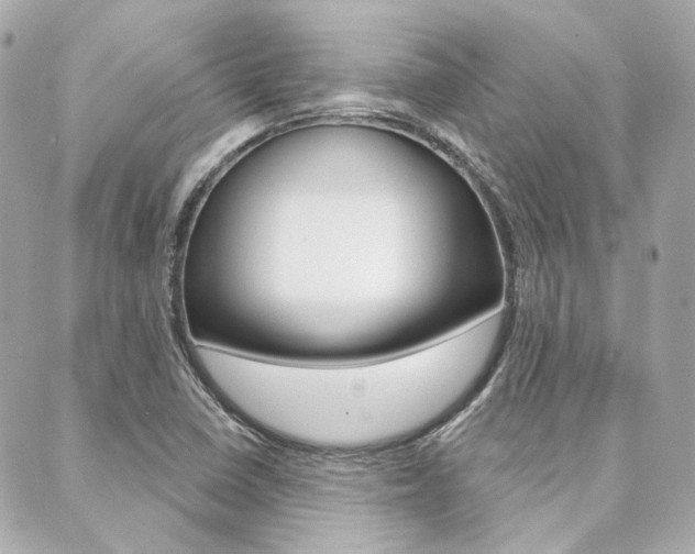 X0000089911410200706290718