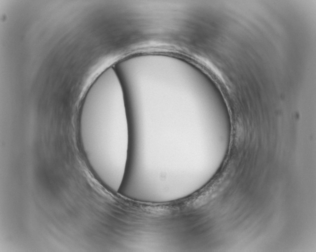 X0000089911413200706290718