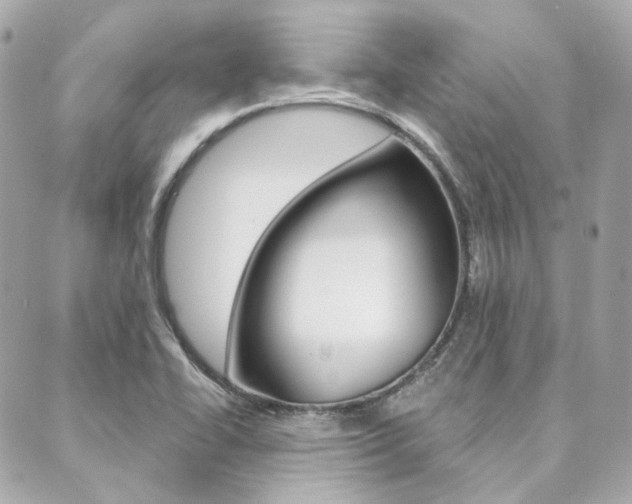 X0000089911414200706290718