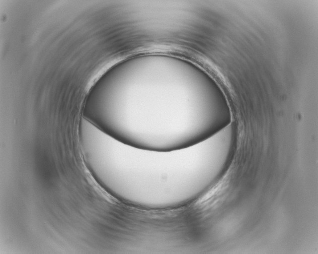 X0000089911417200706290718