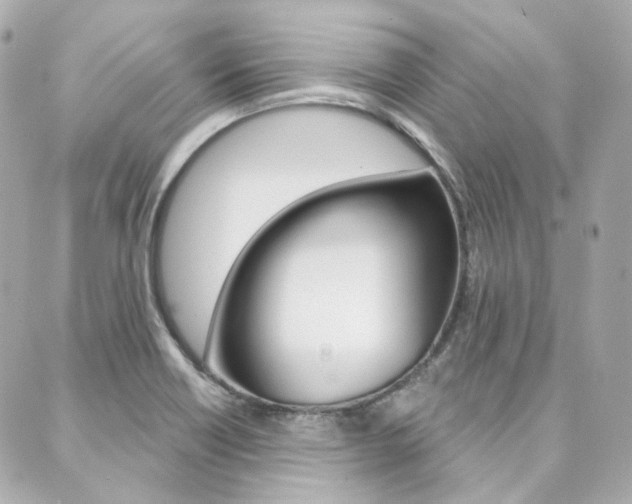 X0000089911418200706290718