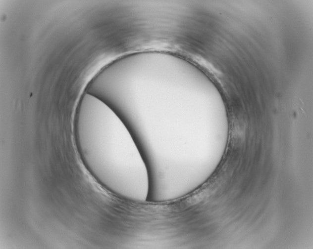 X0000089911423200706290718