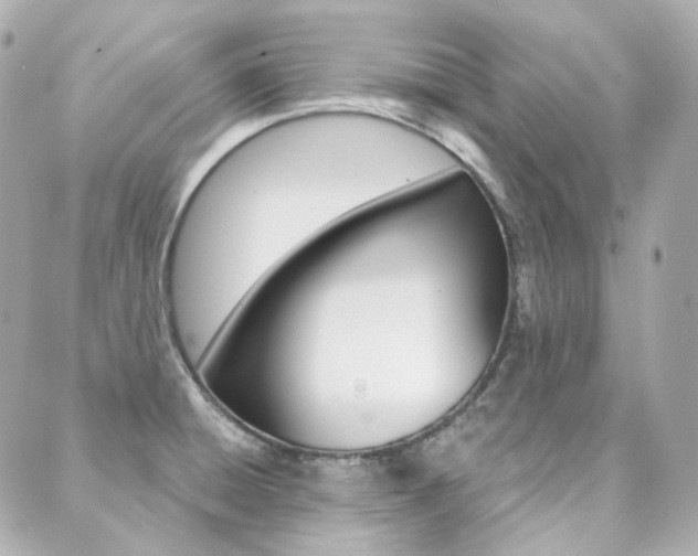 X0000089911428200706290718