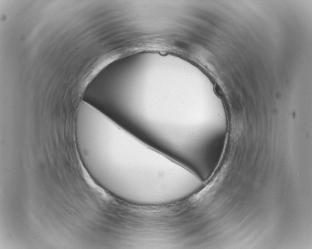 X0000089911433200706290718