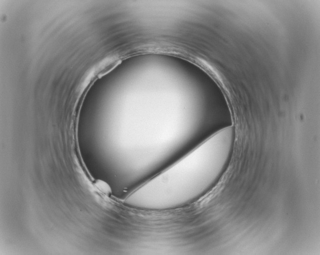 X0000089911434200706290718