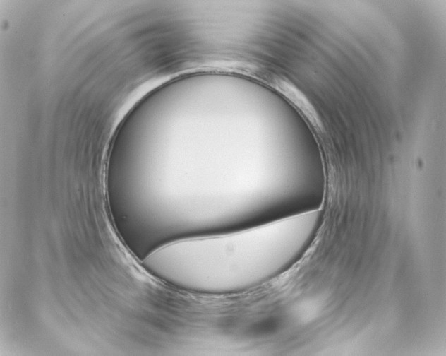 X0000089911436200706290718